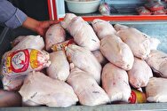افزایش قیمت گوشت مرغ تکذیب شد