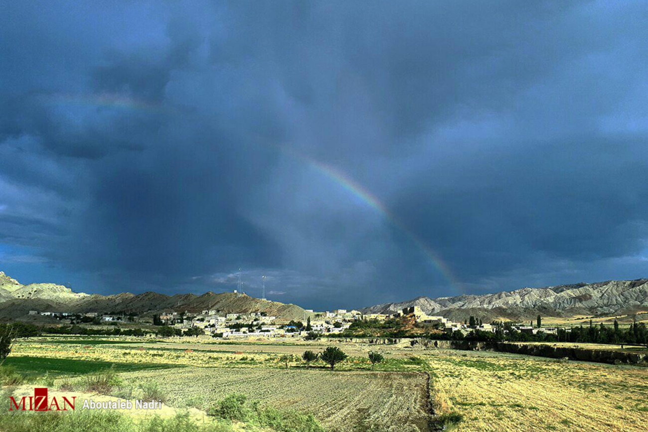 عکس/ پس از باران