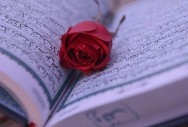 فاطمه عباسی: آرزو دارم که حافظ عامل نافعی برای قرآن باشم