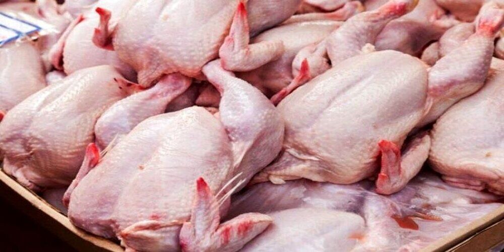 قیمت مرغ در فارس ارزان‌تر از کشور است