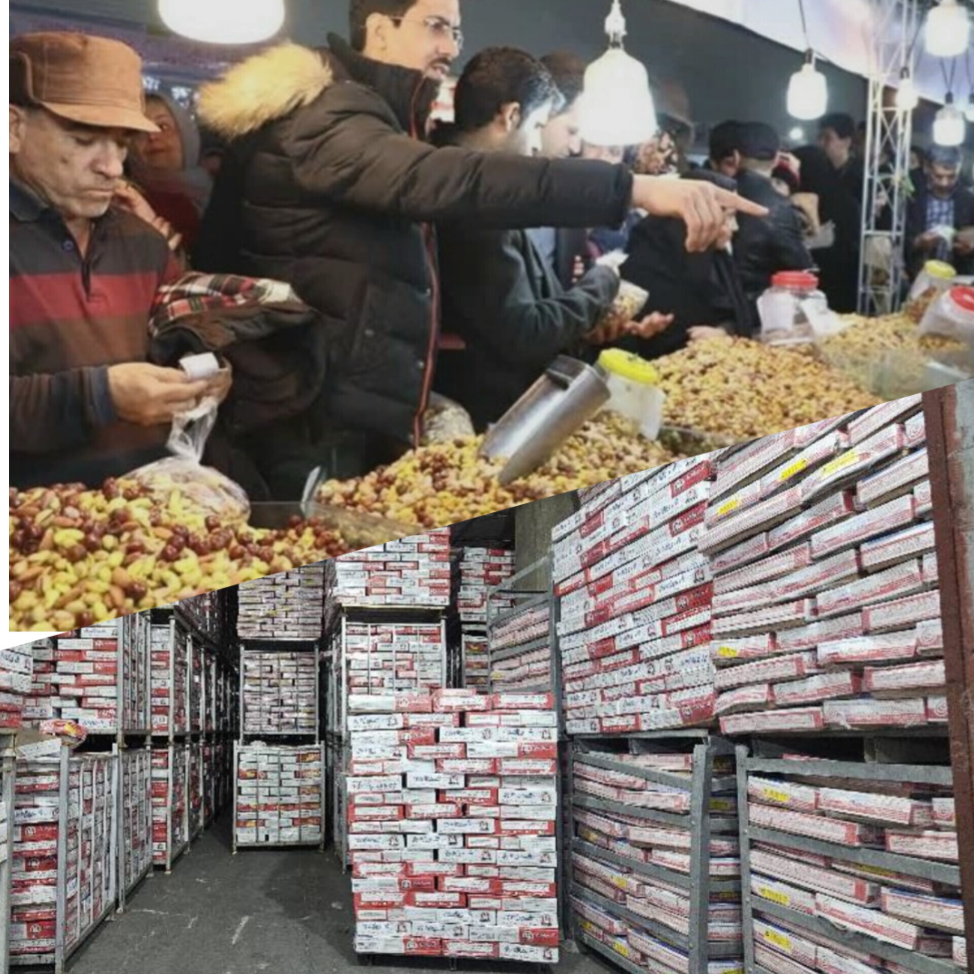 توزیع مرغ و گوشت منجمد در فارس