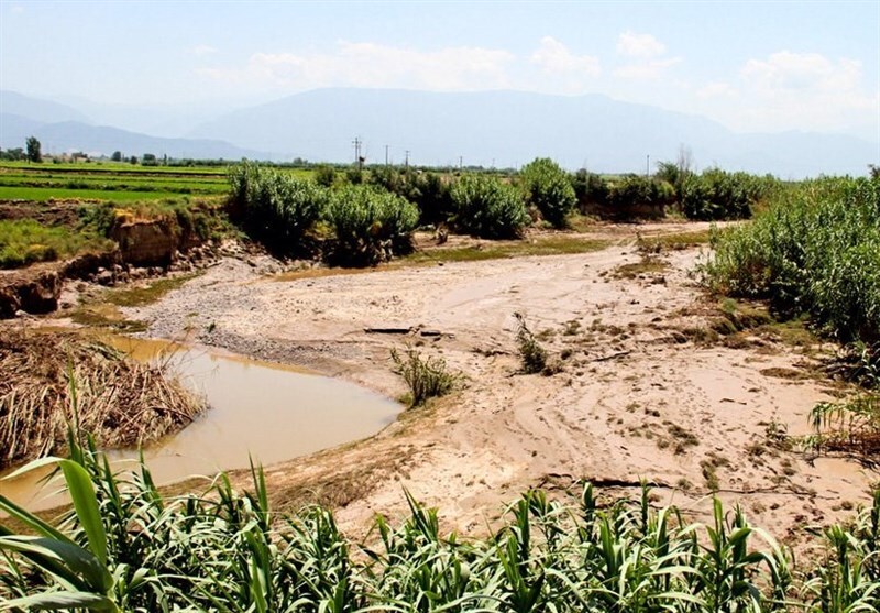 بارندگی به محصولات کشاورزی استان فارس خسارت وارد کرد