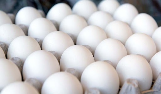 تولید تخم مرغ در فارس افزایش می‌یابد