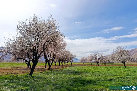 استهبان غرق در شکوفه‌های بهاری