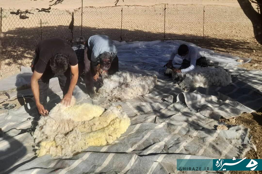 افزوده شدن ۲ کتابخانه به شهرستان اوز