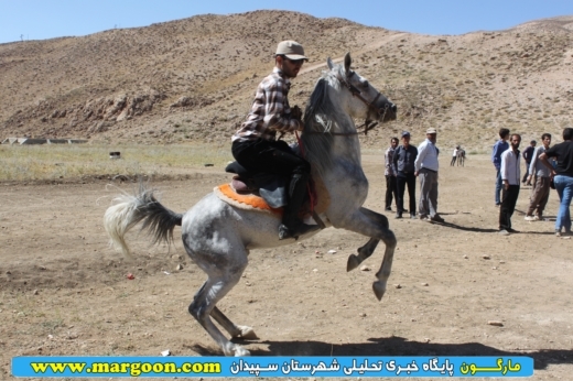 مسابقات کورس اسب سواری قهرمانی در سپیدان