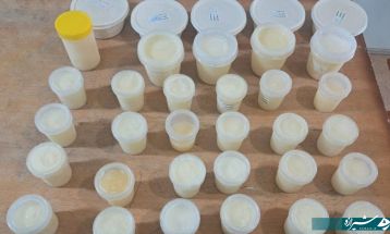 فداکاری مادر کوه‌چناری برای کودکان نیازمند